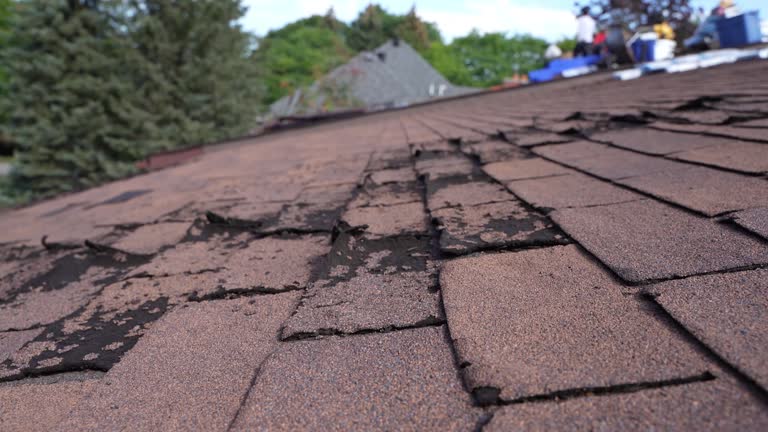 Best Storm Damage Roof Repair  in Sussex, WI