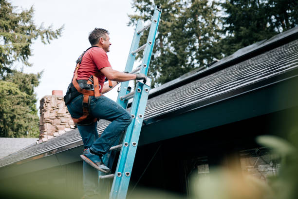 Best Chimney Flashing Repair  in Sussex, WI