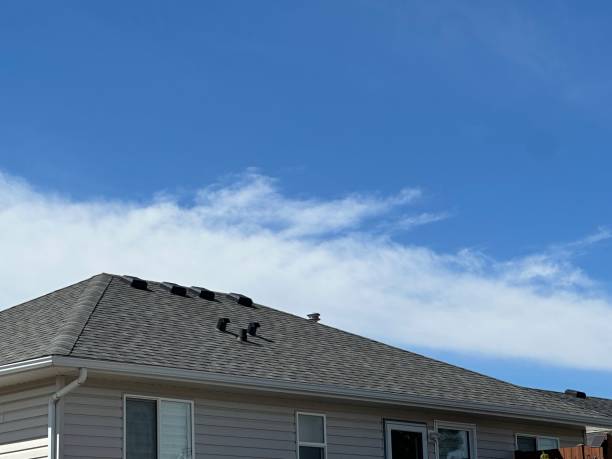 Best Asphalt Shingles Roofing  in Sussex, WI